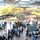 「大阪自然史フェスティバル」11/14-15、大阪市立自然史博物館