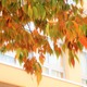 【中学受験】来月行ける中高一貫・男子校「学校見学」11月…海城、武蔵など10校