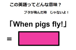 この英語ってどんな意味？「When pigs fly!」