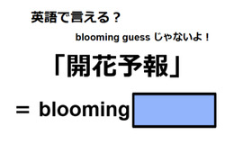 英語で「開花予報」はなんて言う？