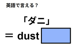 英語で「ダニ」はなんて言う？