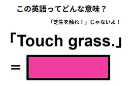 この英語ってどんな意味？「Touch grass. 」