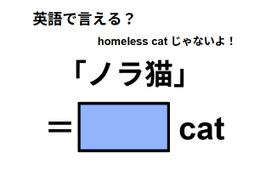 英語で「ノラ猫」はなんて言う？