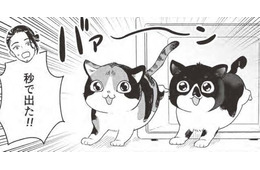 「子猫、永遠に見てられる」…里親になった子猫はわんぱく盛りに感慨…【借金1000万作曲家の人生を変えてくれた猫の話 #４】