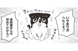 「マンション買ってよかった〜」駆け寄る猫の姿に幸せMAX。走り方がヘタなのには理由が…【借金1000万作曲家の人生を変えてくれた猫の話 #12】