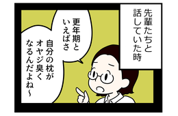 「更年期世代は枕がオジサン臭くなる」って先輩が言ってたけど、私の場合はそれだけじゃなくて【マンガ100人の更年期R】#5