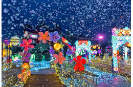 伊豆ぐらんぱる公園で体験型イルミネーション、11月7日から “龍の大冒険”コンセプトに新たな演出