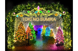 550万球の光が織りなす“魔法の森” 静岡・時之栖でイルミネーション「ひかりのすみか」