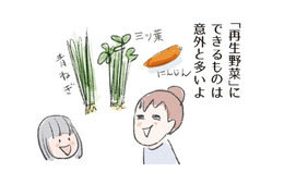自家製スパイスで料理に彩りを！「再生野菜」は意外と簡単。成功させるコツは？【激せまキッチンで時短！簡単！ムダなしごはん #26】