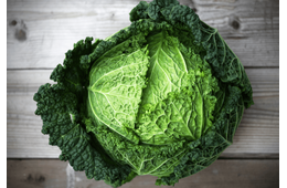 買ったキャベツを廊下に放置→しかし次の瞬間…愛犬の”まさかの行動”に「何これ！」