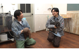 相葉雅紀、“30年来の友人”生田斗真と保護犬トリミング 嵐結成前の思い出話も