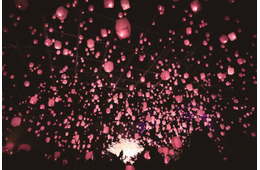 東京・新宿に桜色ランタンが舞う！「花見灯夜2026」幻想空間に酔いしれる花見イベント