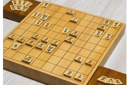 夏休み中…元気がない孫　すると祖父が”将棋盤”を取り出し⇒まさかの行動「こういう大人になりたい」