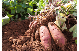 22歳の息子が泥だらけ！？70歳の祖母の“自慢げな様子”に⇒「言葉にできないほど幸せ」