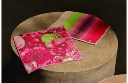 ファミマ、ニコライ バーグマンとの初コラボハンカチ登場 母の日ギフトにも最適な花柄＆グラデーション