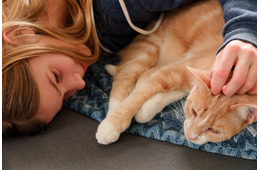 亡き父が大切にしていた猫を「保健所に連れていけ」と言い放った夫…それでも妻が離婚できなかった理由とは