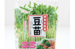 その豆苗、本当に新鮮？ プロが教える「おいしい豆苗」の見分け方と長持ちさせる保存術