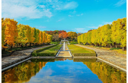 昭和記念公園で「黄葉・紅葉まつり＆秋の夜散歩2026」開催 光と音楽の演出も息をのむ美しさ