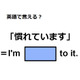 英語で「慣れています」はなんて言う？