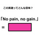 この英語ってどんな意味？「No pain, no gain. 」