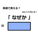 英語で「なぜか」はなんて言う？