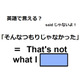 英語で「そんなつもりじゃなかった」はなんて言う？