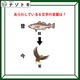 クイズです！イラストから言葉を考えてね。ジョークのセンスも問われるかも【難易度LV２.・甘口】