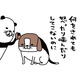 普段はおっとり愛犬・梅吉。唯一「野生の本性」をむき出しにするのは…【パンダと犬 ＃２】