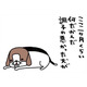 飼い主あるある！「何しに来たっけ？」用事でリビングへ行ったのに、愛犬に夢中で【パンダと犬 ＃28】