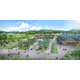 茨城に“泊まれる体験型植物園”「THE BOTANICAL RESORT 林音」既存施設に新たな価値加えリニューアル