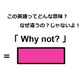 この英語ってどんな意味？「Why not?」