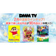 DMM TV「クレヨンしんちゃん」「アンパンマン」「ポケモン」配信開始