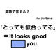 英語で「とっても似合ってる」は何て言う？
