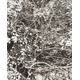 市川孝典、個展「FLEETING DAYS」10月7日より渋谷・NONLECTURE book/artsで開催