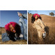Vans x SZA「VANSZA」自然とSZAの感性から生まれた新作フットウェア＆アパレルが登場。10月22日より発売