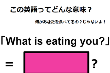 この英語ってどんな意味？「What is eating you? 」 画像