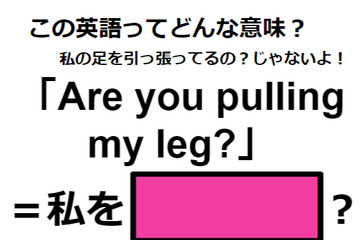 この英語ってどんな意味？「Are you pulling my leg? 」 画像