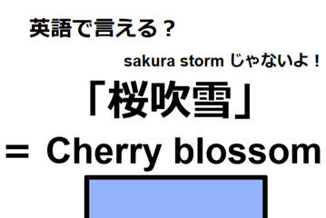 英語で「桜吹雪」はなんて言う？ 画像