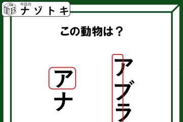 クイズです！「図が表す動物は何でしょうか？」ワクの位置も重要みたいですよ！【難易度LV３.・中辛】 画像