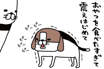 食いしん坊の愛犬・梅吉。「おやつを食べたすぎて」震え始めたその後に、まさかの…!!【パンダと犬 ＃５】 画像