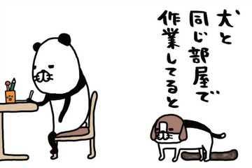 犬と同じ部屋で「作業あるある」。自分のベッドで寝ないで…わざわざ愛犬が向かう場所は？【パンダと犬 ＃９】 画像