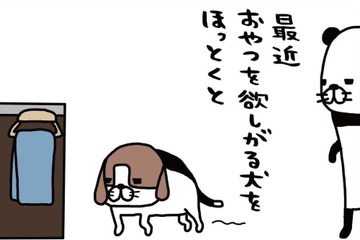 食事はカリカリとジャーキーの繰り返し。全く飽きたそぶりナシ？【パンダと犬 ＃15】 画像