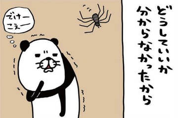家に巨大なクモが出現!! 心を落ち着かせるため、震える手で愛犬・梅吉を…【パンダと犬 ＃19】 画像