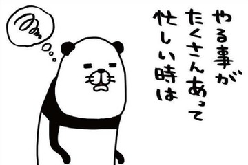 忙しい時こそ愛犬を捕まえて「やりたくなる意外な行動」とは？【パンダと犬 ＃21】 画像