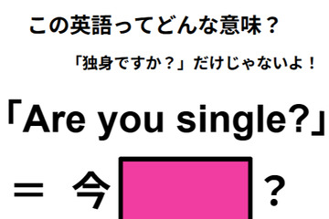 この英語ってどんな意味？「Are you single? 」 画像