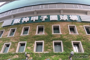 【高校野球2025夏】東洋大姫路、序盤リード守り切る 花巻東との激闘制し16強進出 画像