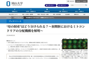 岡山大、ミトコンドリアの分配機構を解明…体外受精の安全性向上へ 画像