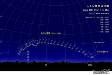 新発見のレモン彗星、10月下旬が観察好期…次回接近は1100年後 画像