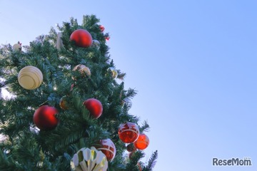 【中学受験】来月行ける中高一貫・共学校「学校見学」12月…広尾、明大明治など 画像