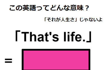 この英語ってどんな意味？「that’s life.」 画像